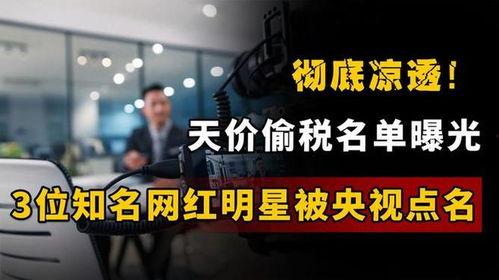 明星偷税爆料视频大全集,明星偷税事件视频大全集深度剖析