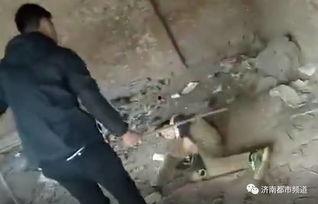 济南校园爆料事件视频曝光,真相与争议交织  第2张